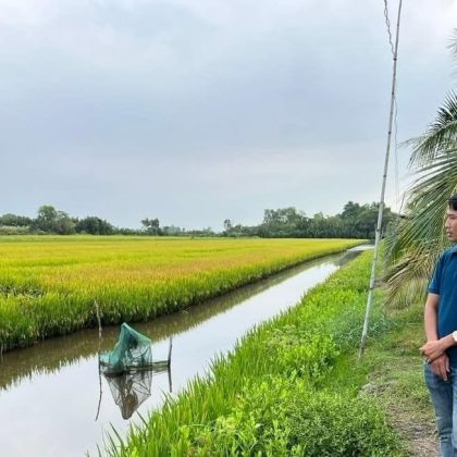 Khuyến nông Bạc Liêu triển khai mô hình 20ha tôm – lúa hữu cơ